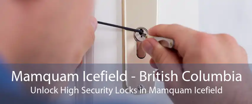 Mamquam Icefield - British Columbia Unlock High Security Locks in Mamquam Icefield
