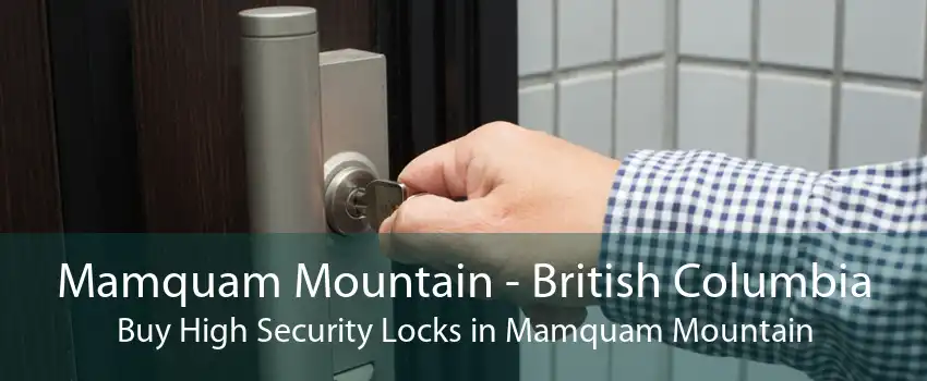 Mamquam Mountain - British Columbia Buy High Security Locks in Mamquam Mountain