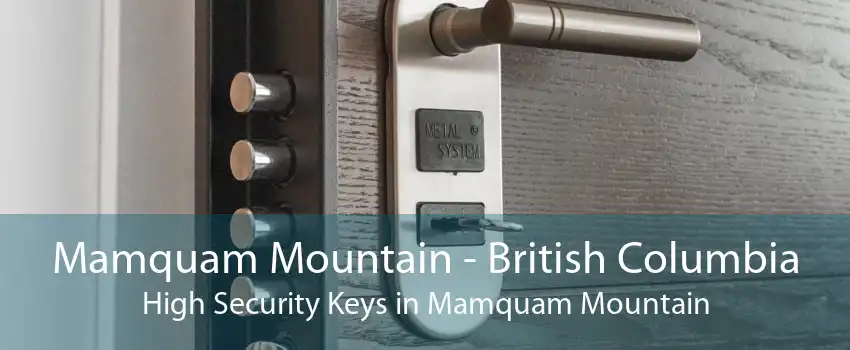 Mamquam Mountain - British Columbia High Security Keys in Mamquam Mountain