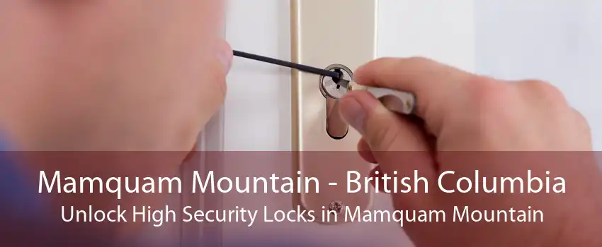 Mamquam Mountain - British Columbia Unlock High Security Locks in Mamquam Mountain