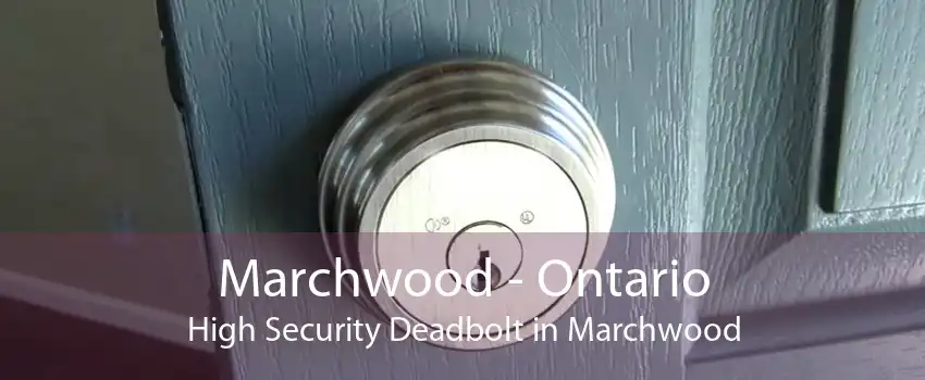Marchwood - Ontario High Security Deadbolt in Marchwood