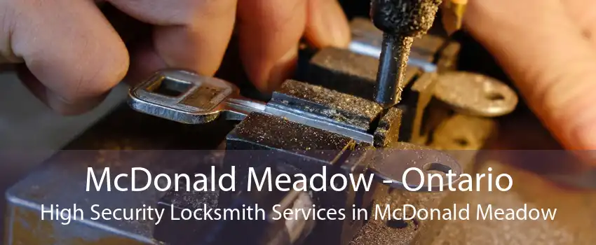 McDonald Meadow - Ontario High Security Locksmith Services in McDonald Meadow