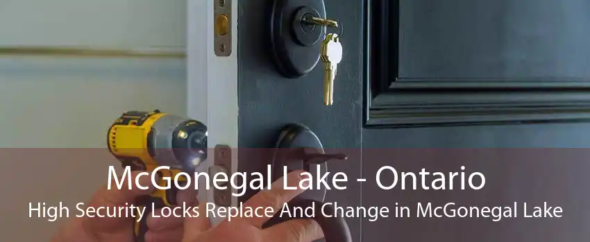 McGonegal Lake - Ontario High Security Locks Replace And Change in McGonegal Lake