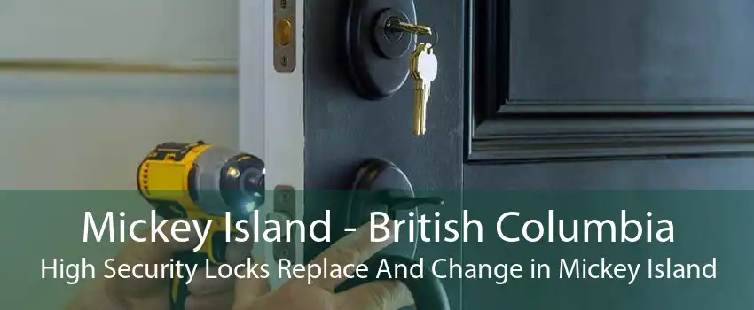 Mickey Island - British Columbia High Security Locks Replace And Change in Mickey Island