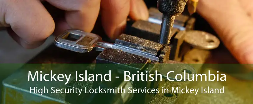 Mickey Island - British Columbia High Security Locksmith Services in Mickey Island