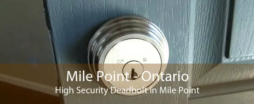 Mile Point - Ontario High Security Deadbolt in Mile Point