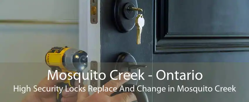 Mosquito Creek - Ontario High Security Locks Replace And Change in Mosquito Creek