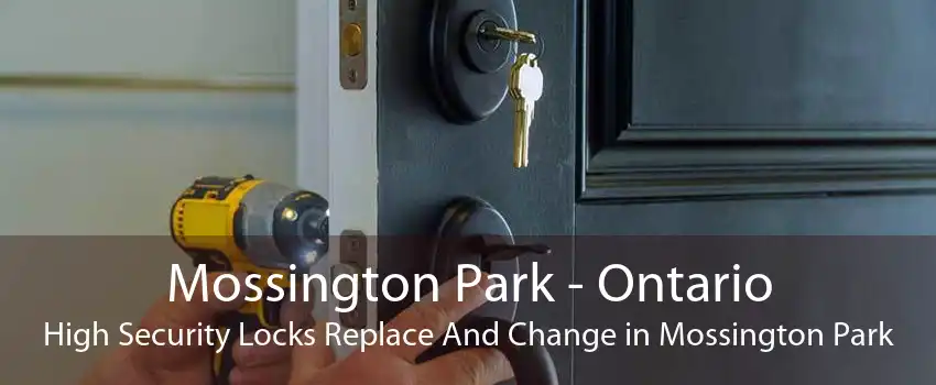 Mossington Park - Ontario High Security Locks Replace And Change in Mossington Park