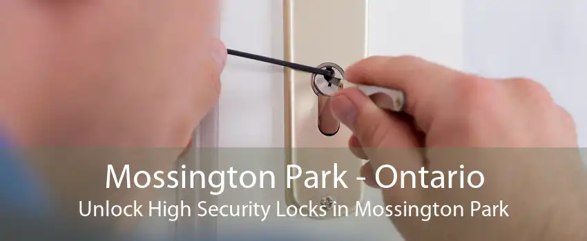 Mossington Park - Ontario Unlock High Security Locks in Mossington Park