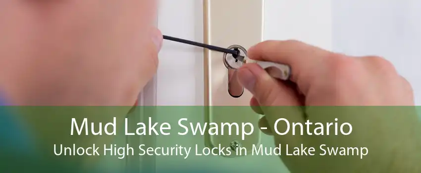 Mud Lake Swamp - Ontario Unlock High Security Locks in Mud Lake Swamp