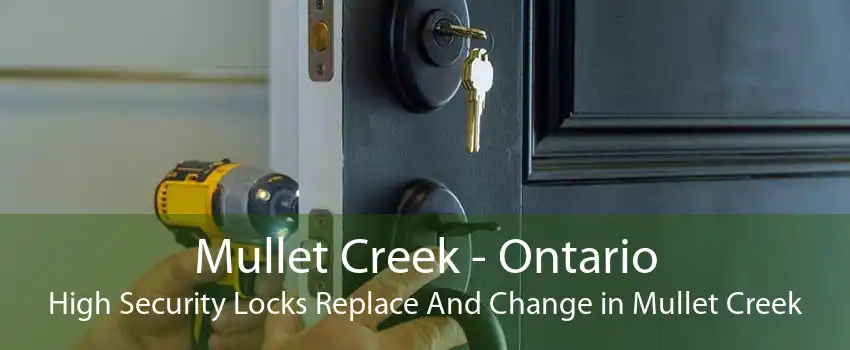 Mullet Creek - Ontario High Security Locks Replace And Change in Mullet Creek