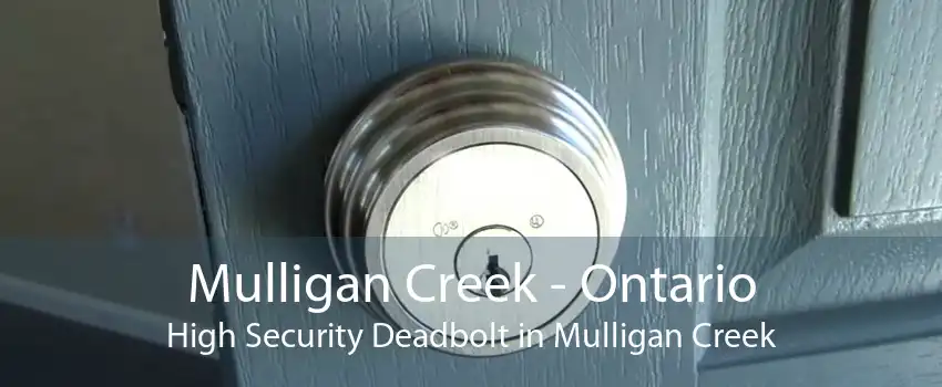 Mulligan Creek - Ontario High Security Deadbolt in Mulligan Creek