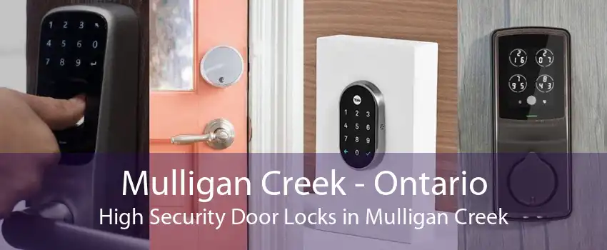 Mulligan Creek - Ontario High Security Door Locks in Mulligan Creek