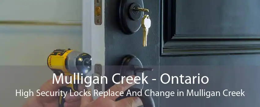 Mulligan Creek - Ontario High Security Locks Replace And Change in Mulligan Creek
