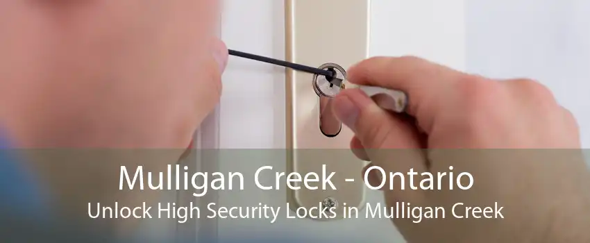 Mulligan Creek - Ontario Unlock High Security Locks in Mulligan Creek