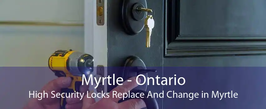 Myrtle - Ontario High Security Locks Replace And Change in Myrtle