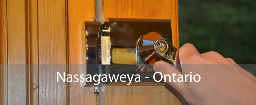Nassagaweya - Ontario 