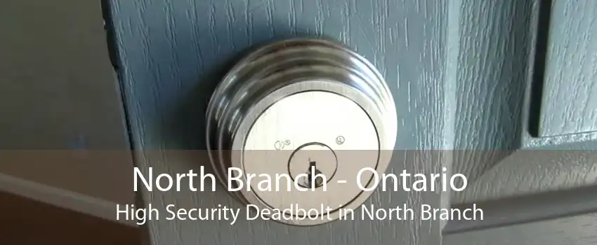 North Branch - Ontario High Security Deadbolt in North Branch
