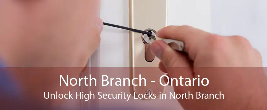 North Branch - Ontario Unlock High Security Locks in North Branch