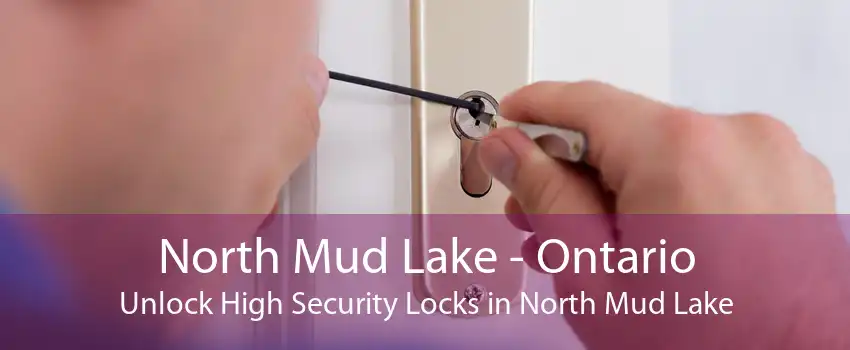 North Mud Lake - Ontario Unlock High Security Locks in North Mud Lake