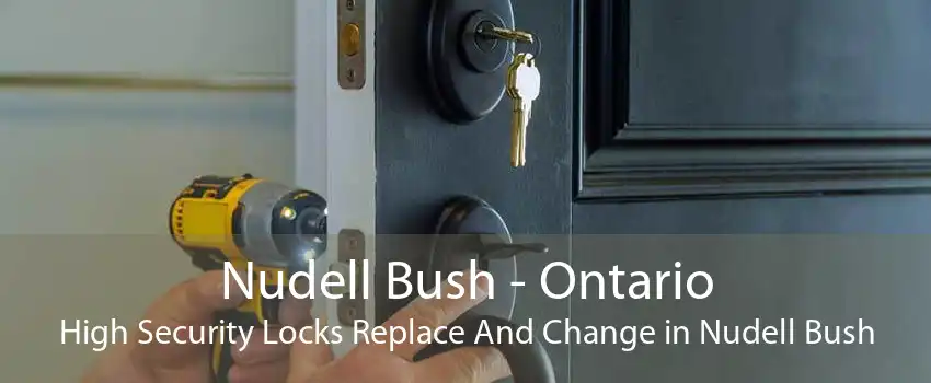 Nudell Bush - Ontario High Security Locks Replace And Change in Nudell Bush