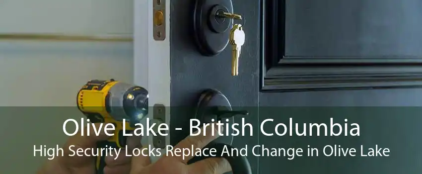 Olive Lake - British Columbia High Security Locks Replace And Change in Olive Lake