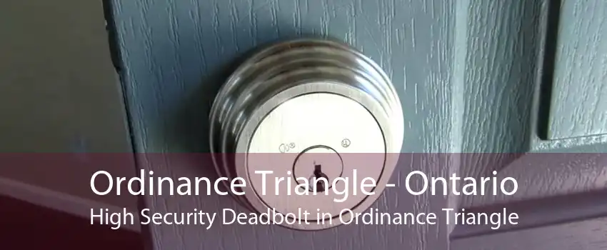 Ordinance Triangle - Ontario High Security Deadbolt in Ordinance Triangle