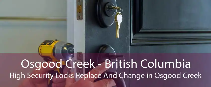Osgood Creek - British Columbia High Security Locks Replace And Change in Osgood Creek