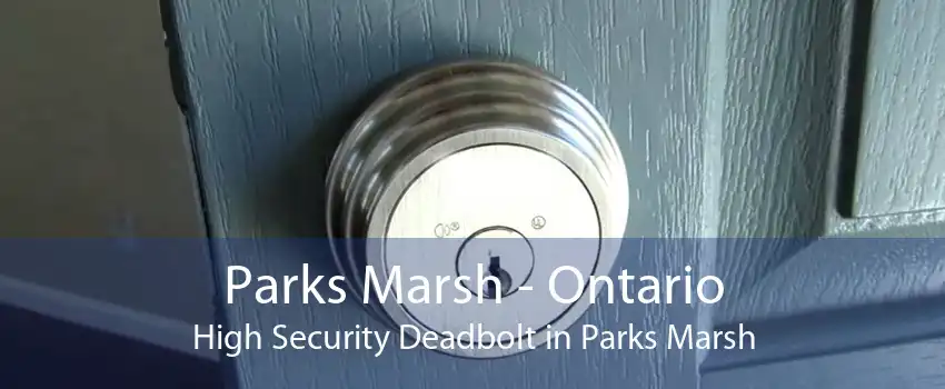 Parks Marsh - Ontario High Security Deadbolt in Parks Marsh