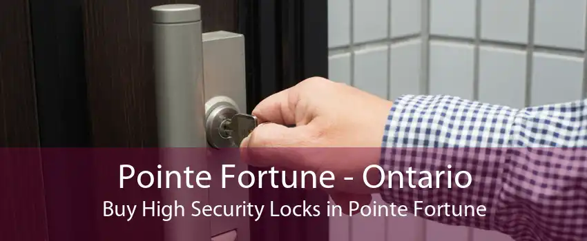 Pointe Fortune - Ontario Buy High Security Locks in Pointe Fortune