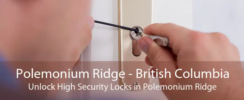 Polemonium Ridge - British Columbia Unlock High Security Locks in Polemonium Ridge