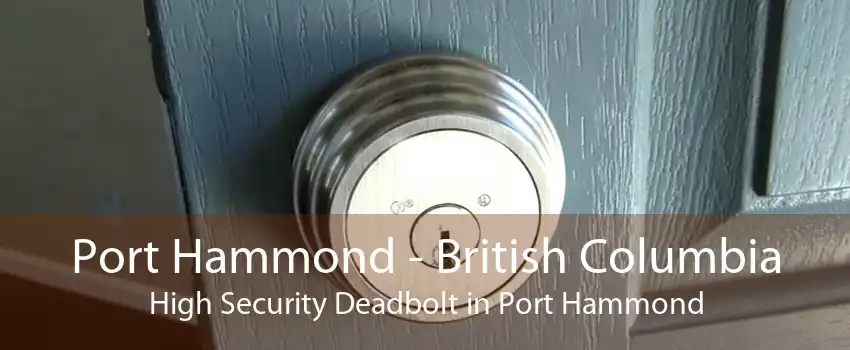 Port Hammond - British Columbia High Security Deadbolt in Port Hammond