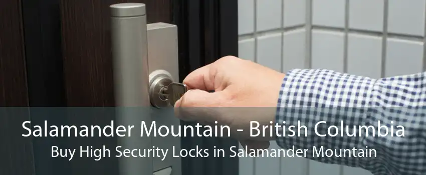Salamander Mountain - British Columbia Buy High Security Locks in Salamander Mountain