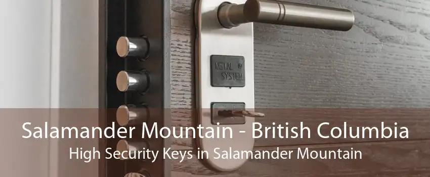 Salamander Mountain - British Columbia High Security Keys in Salamander Mountain