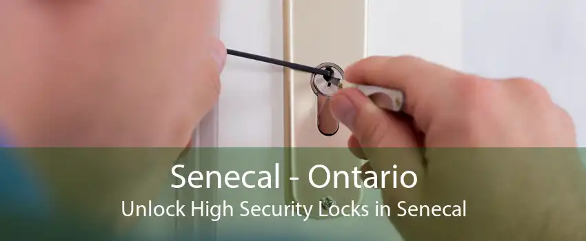 Senecal - Ontario Unlock High Security Locks in Senecal