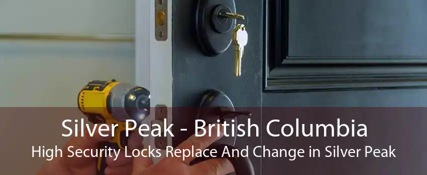 Silver Peak - British Columbia High Security Locks Replace And Change in Silver Peak