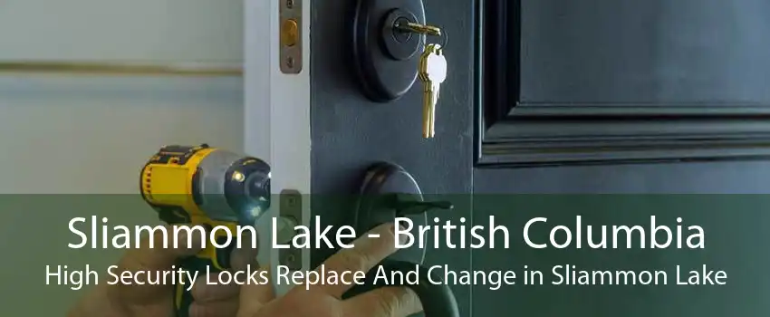 Sliammon Lake - British Columbia High Security Locks Replace And Change in Sliammon Lake