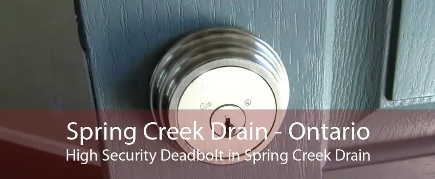 Spring Creek Drain - Ontario High Security Deadbolt in Spring Creek Drain