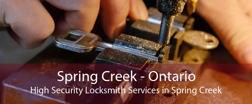 Spring Creek - Ontario High Security Locksmith Services in Spring Creek