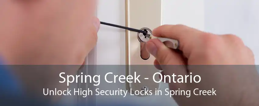 Spring Creek - Ontario Unlock High Security Locks in Spring Creek