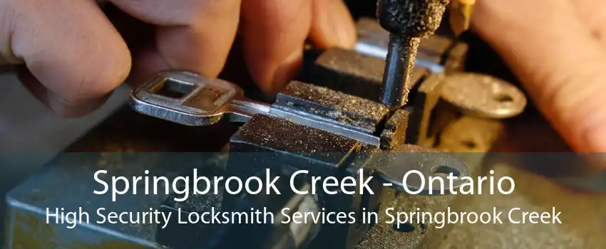 Springbrook Creek - Ontario High Security Locksmith Services in Springbrook Creek