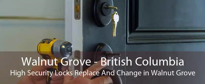 Walnut Grove - British Columbia High Security Locks Replace And Change in Walnut Grove
