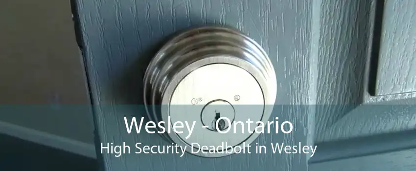 Wesley - Ontario High Security Deadbolt in Wesley