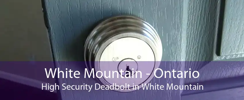 White Mountain - Ontario High Security Deadbolt in White Mountain