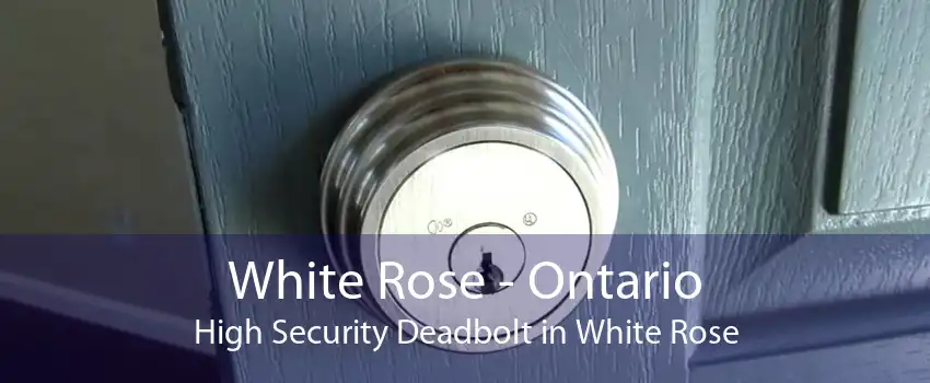 White Rose - Ontario High Security Deadbolt in White Rose