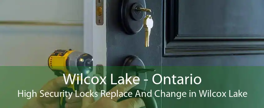 Wilcox Lake - Ontario High Security Locks Replace And Change in Wilcox Lake
