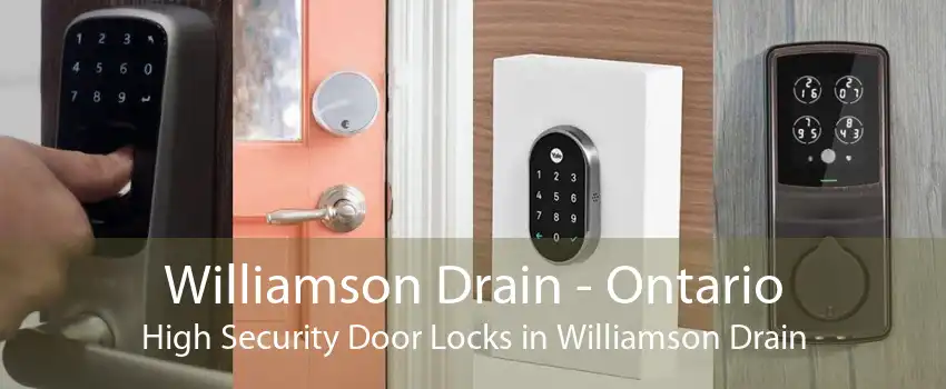 Williamson Drain - Ontario High Security Door Locks in Williamson Drain