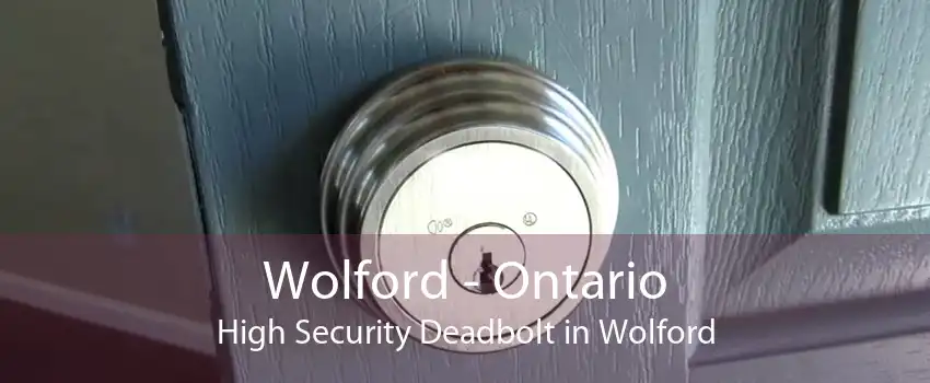 Wolford - Ontario High Security Deadbolt in Wolford